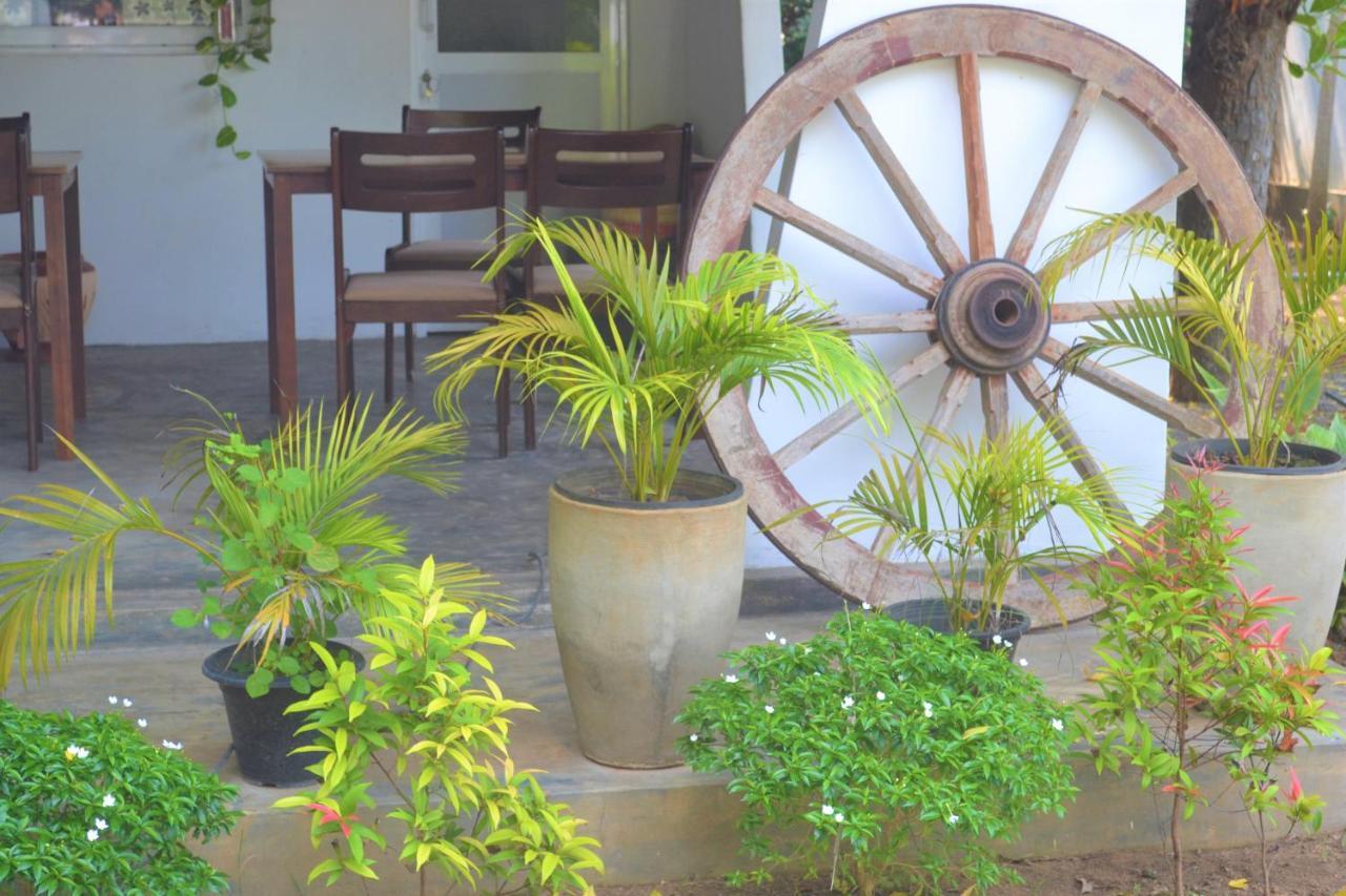 D'Villa Garden House Jaffna Kültér fotó